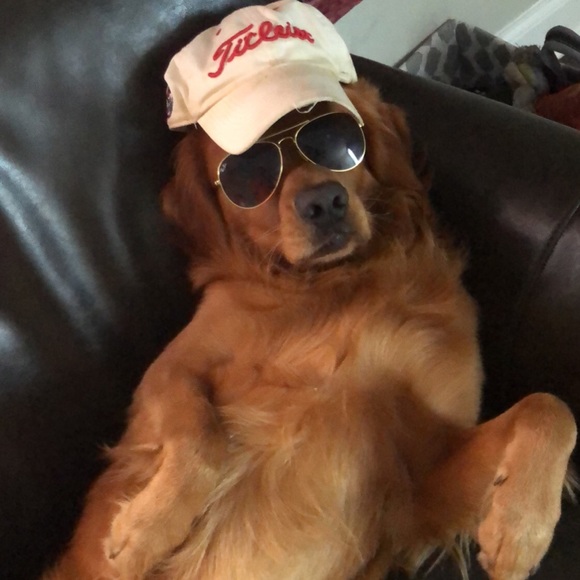 saveonshades